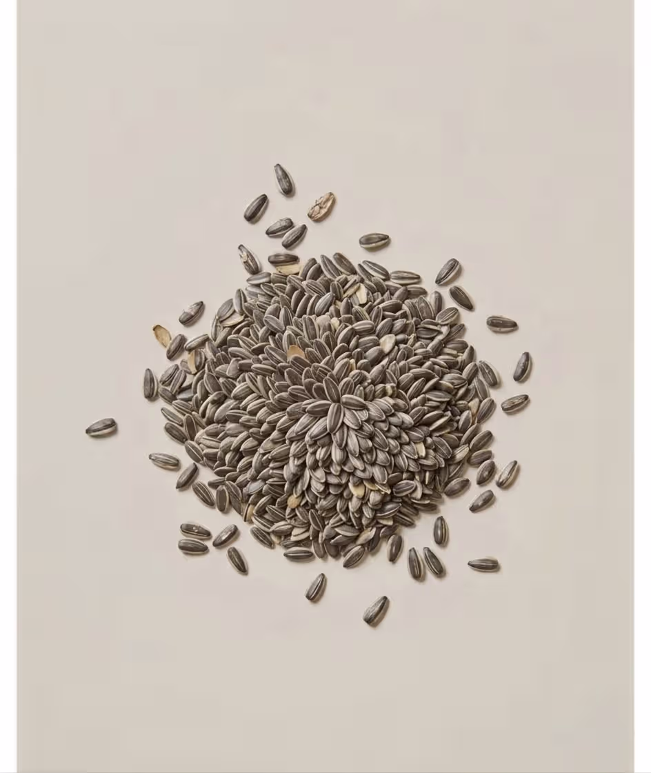 Bowl of sunflower seeds